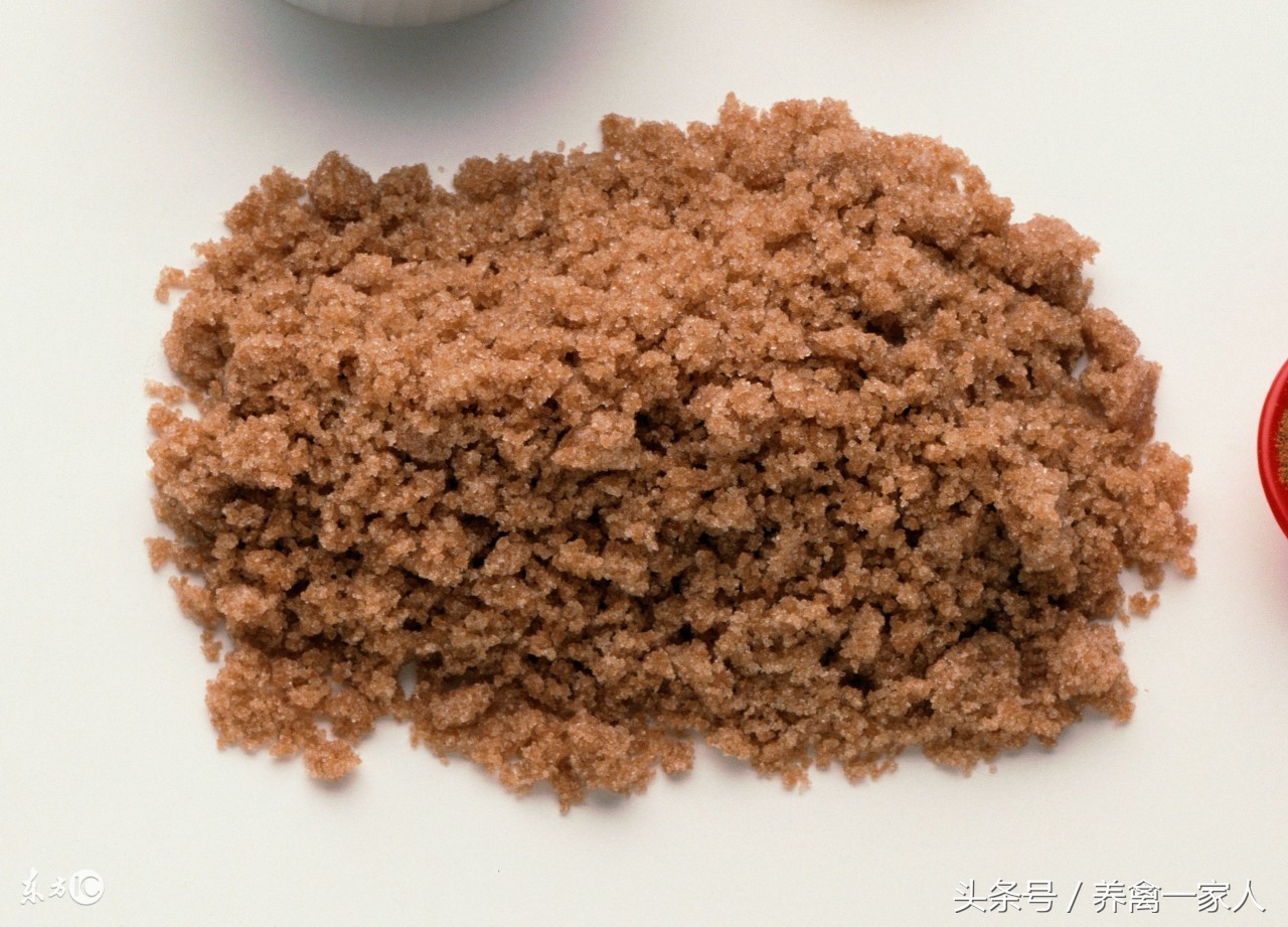 养鸡知识鸡群发病,养鸡有什么方法不让鸡生病