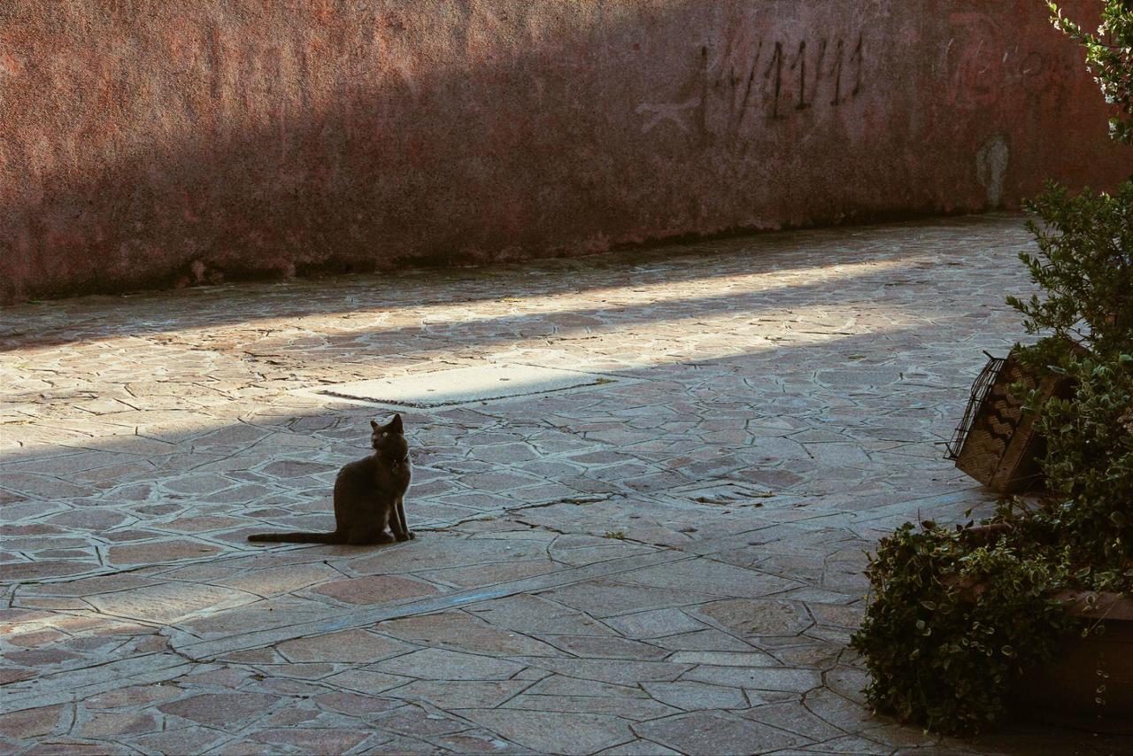 教师节旅行,教师节的旅行