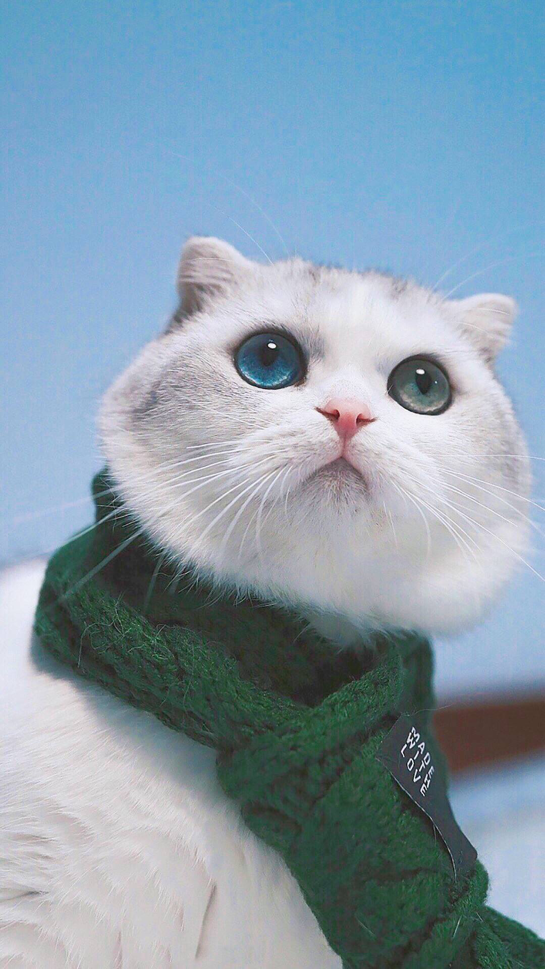 情话九宫格壁纸,情话壁纸图片大全集