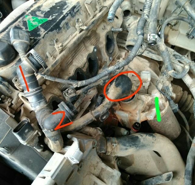 开了十年的普桑,普桑10年