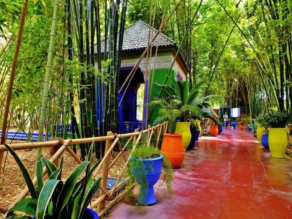 ysl时装视频,2024春夏时装秀ysl