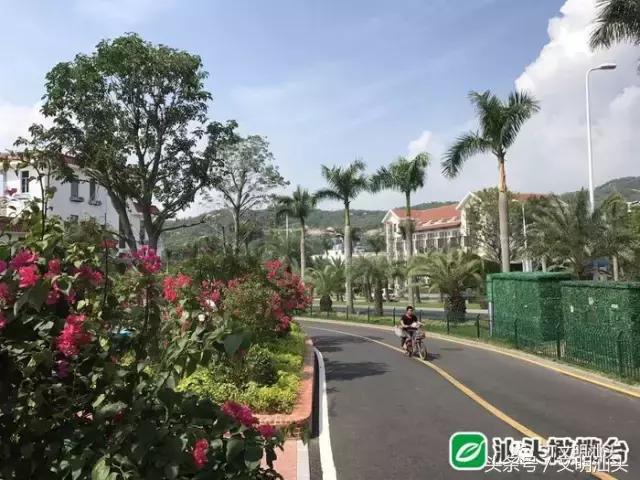 汕头郑剑戈公示,汕头潮阳区长郑剑戈