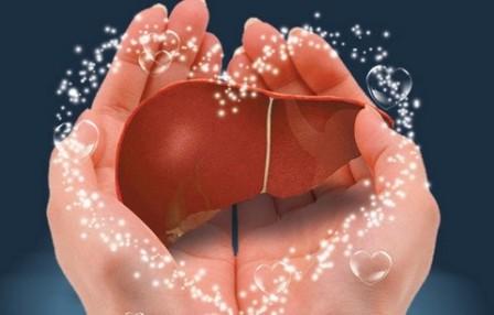 益生菌的九大神奇妙用