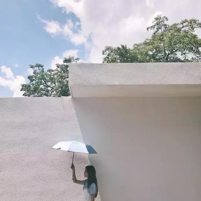 用手机学摄影从零开始自学,用手机学摄影教程入门