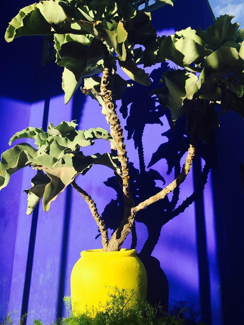 ysl时装视频,2024春夏时装秀ysl