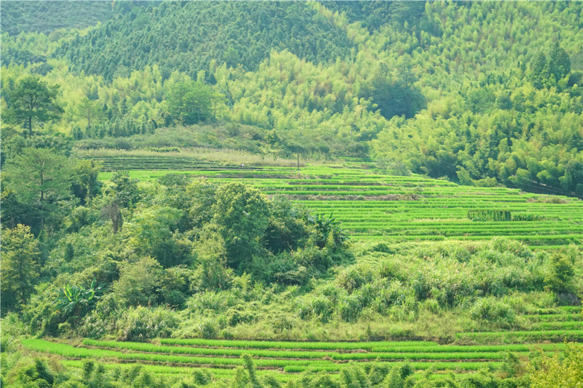 你来过福建平潭岛吗,来福建感受闽南文化