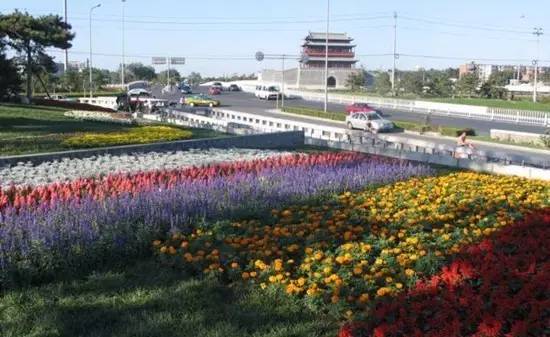 姥姥不疼舅舅不爱的人是什么性格,姥姥不疼舅舅不爱爸妈爱妹妹