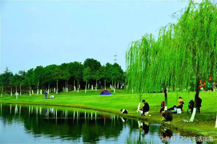 黄桥滨河家园,黄桥景观绿化