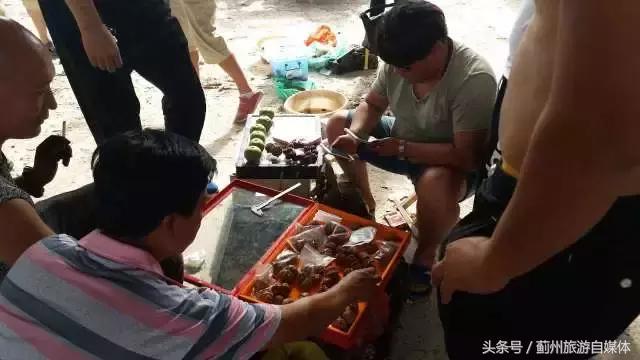 麻核桃蓟县,蓟县野生麻核桃图片