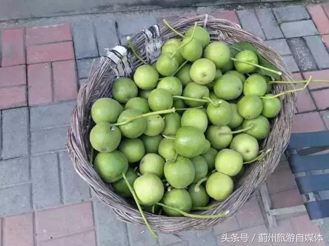 麻核桃蓟县,蓟县野生麻核桃图片