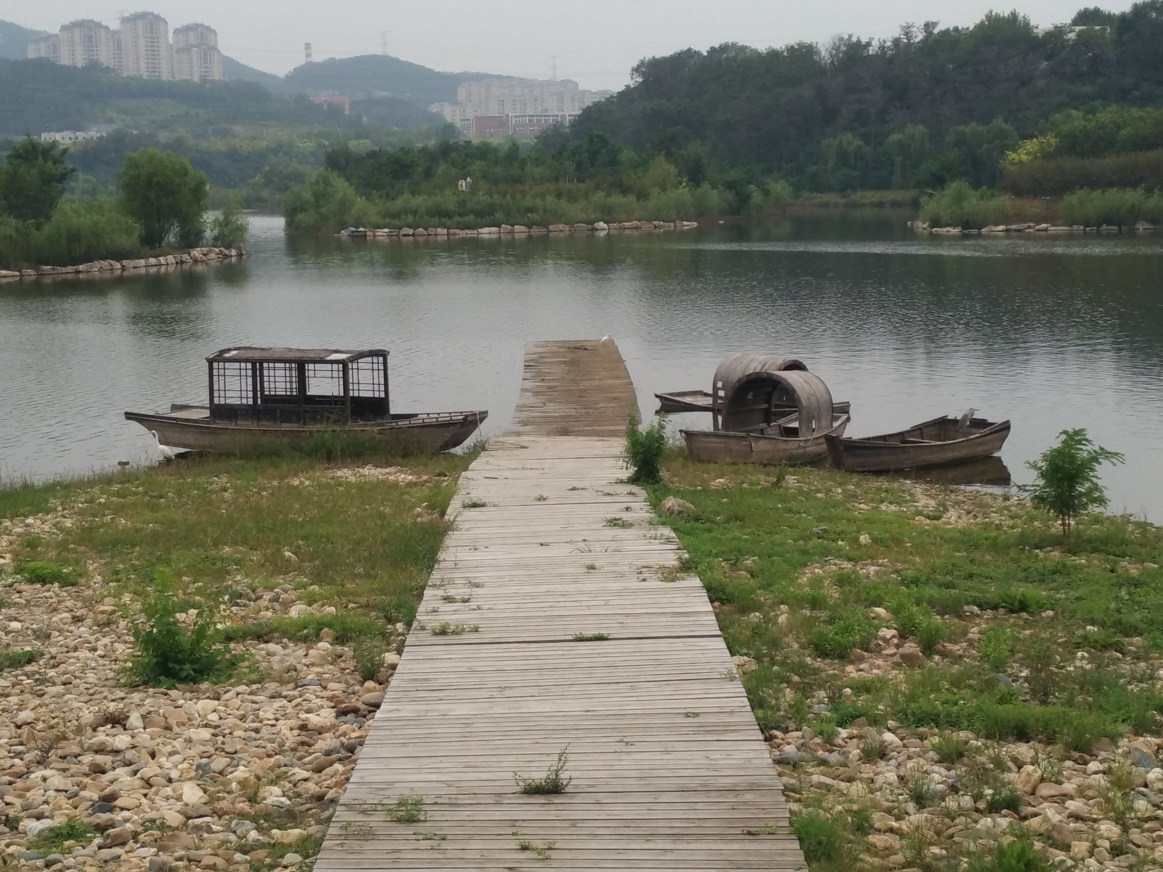 脑血栓后遗症变傻了？没想到天天翻垃圾箱，竟翻出了红宝石钻戒