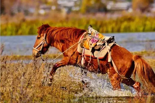 西安到云南丽江特价飞机票,西安直飞云南大理机票