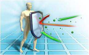 益生菌的九大神奇妙用