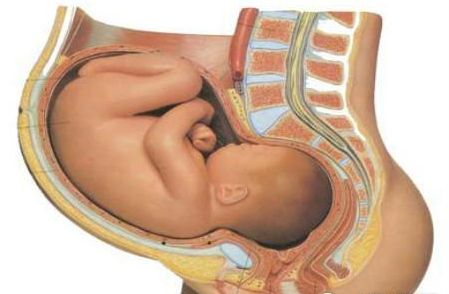 分娩三个阶段准爸爸必看,分娩过程准爸爸可以做什么