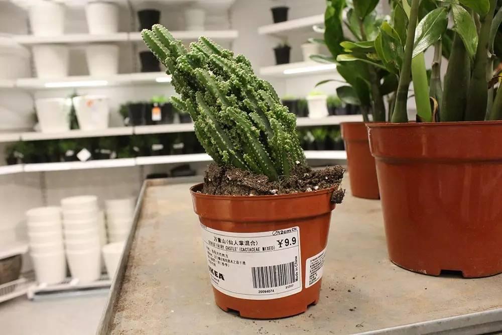 宜家好物推荐200元以内,盘点宜家性价比家具