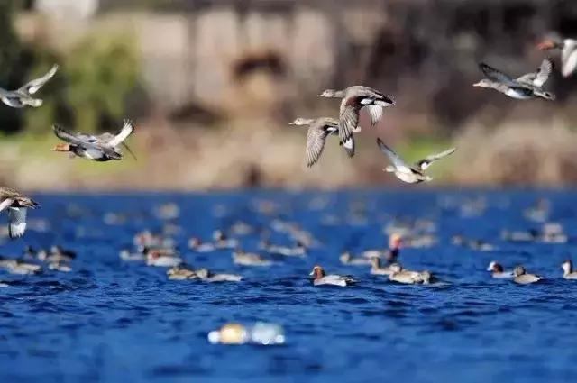 西安到云南丽江特价飞机票,西安直飞云南大理机票