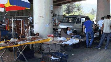 麻核桃蓟县,蓟县野生麻核桃图片