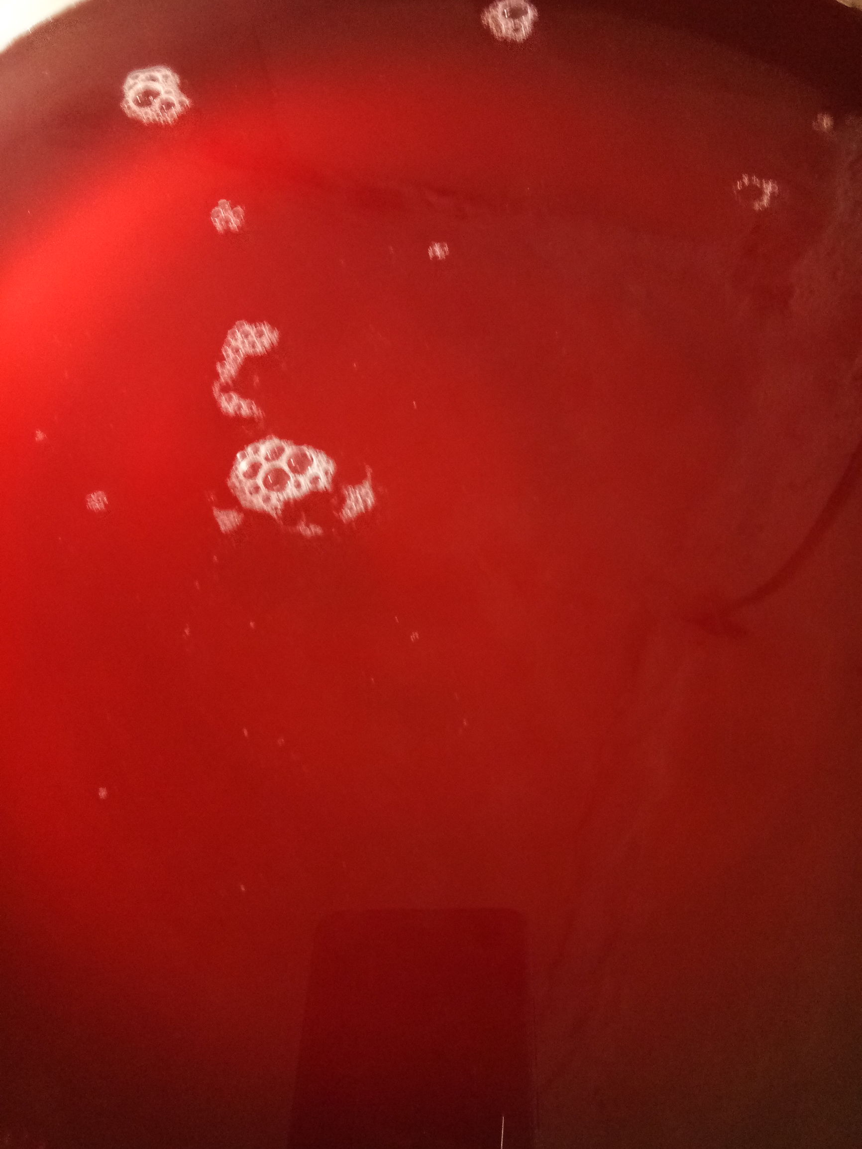 没有榨汁机可以用什么做喝的,要怎么样不用榨汁机就能喝到果汁