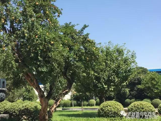 西安体院游玩攻略,西安体院第一帅哥