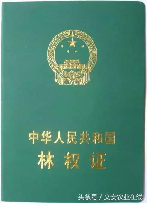 租房土地证的用处,农村土地证有几本