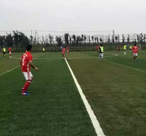 同仁战报：势如破竹！沈阳武汉继续连胜深圳成都创新纪录！