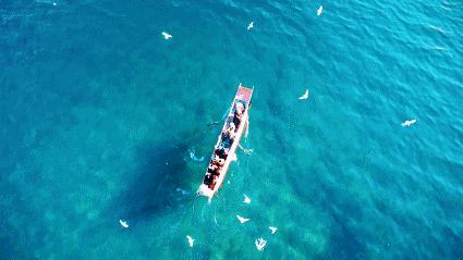 西安到云南丽江特价飞机票,西安直飞云南大理机票