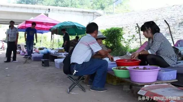 麻核桃蓟县,蓟县野生麻核桃图片