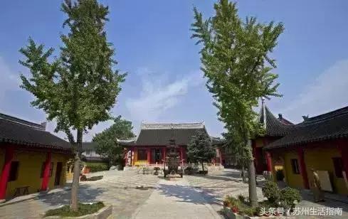 黄桥滨河家园,黄桥景观绿化