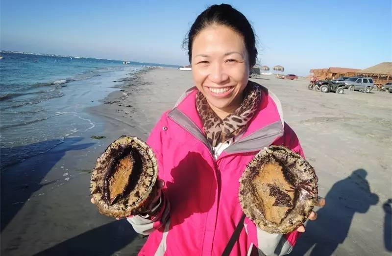 买鲍鱼关注事项,罐头鲍鱼的正确挑选方法