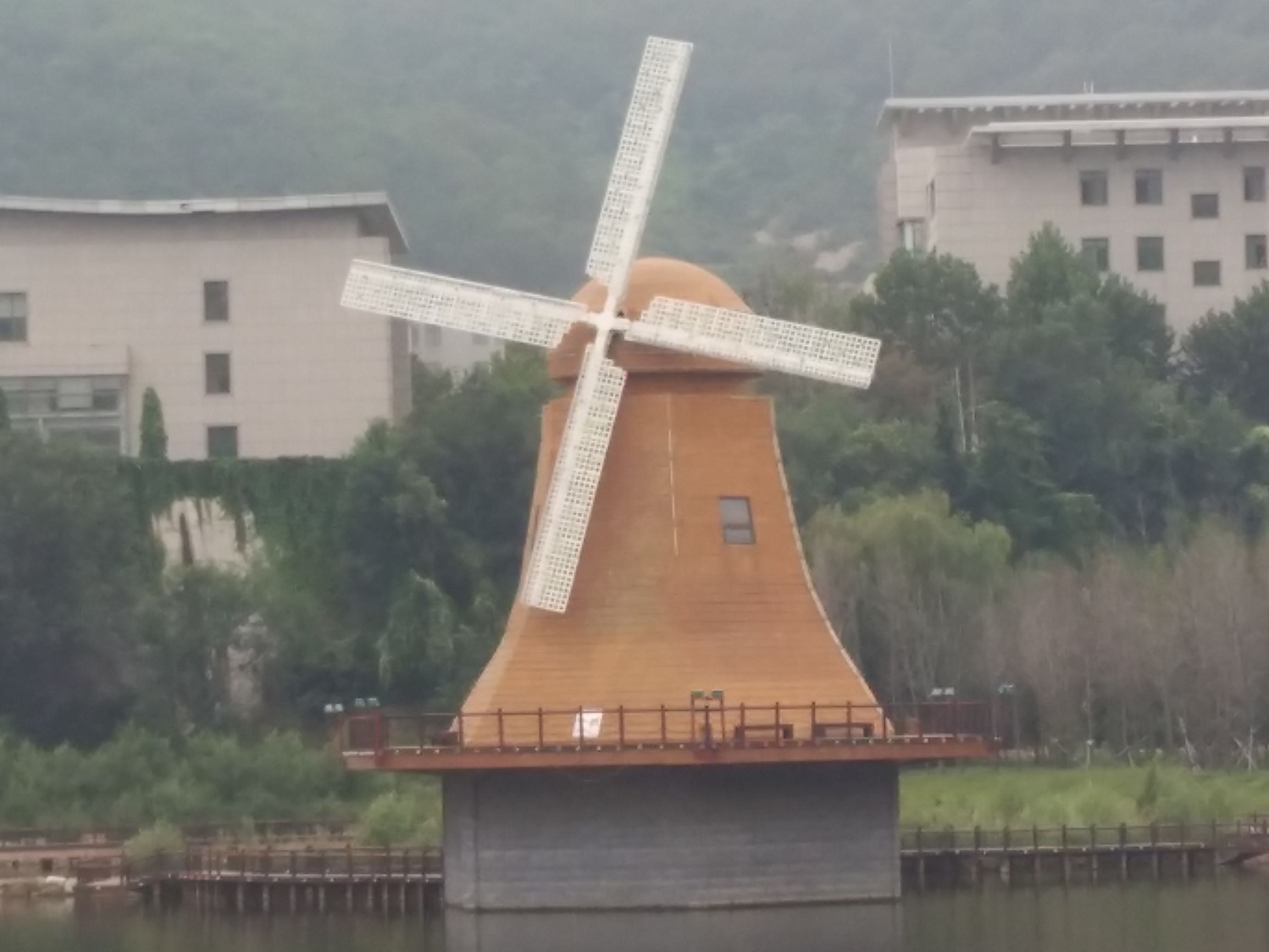 脑血栓后遗症变傻了？没想到天天翻垃圾箱，竟翻出了红宝石钻戒