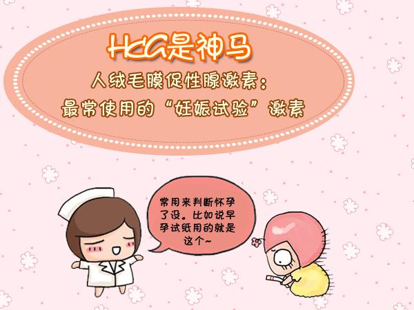 血HCG检查,hcg是检查血还是尿