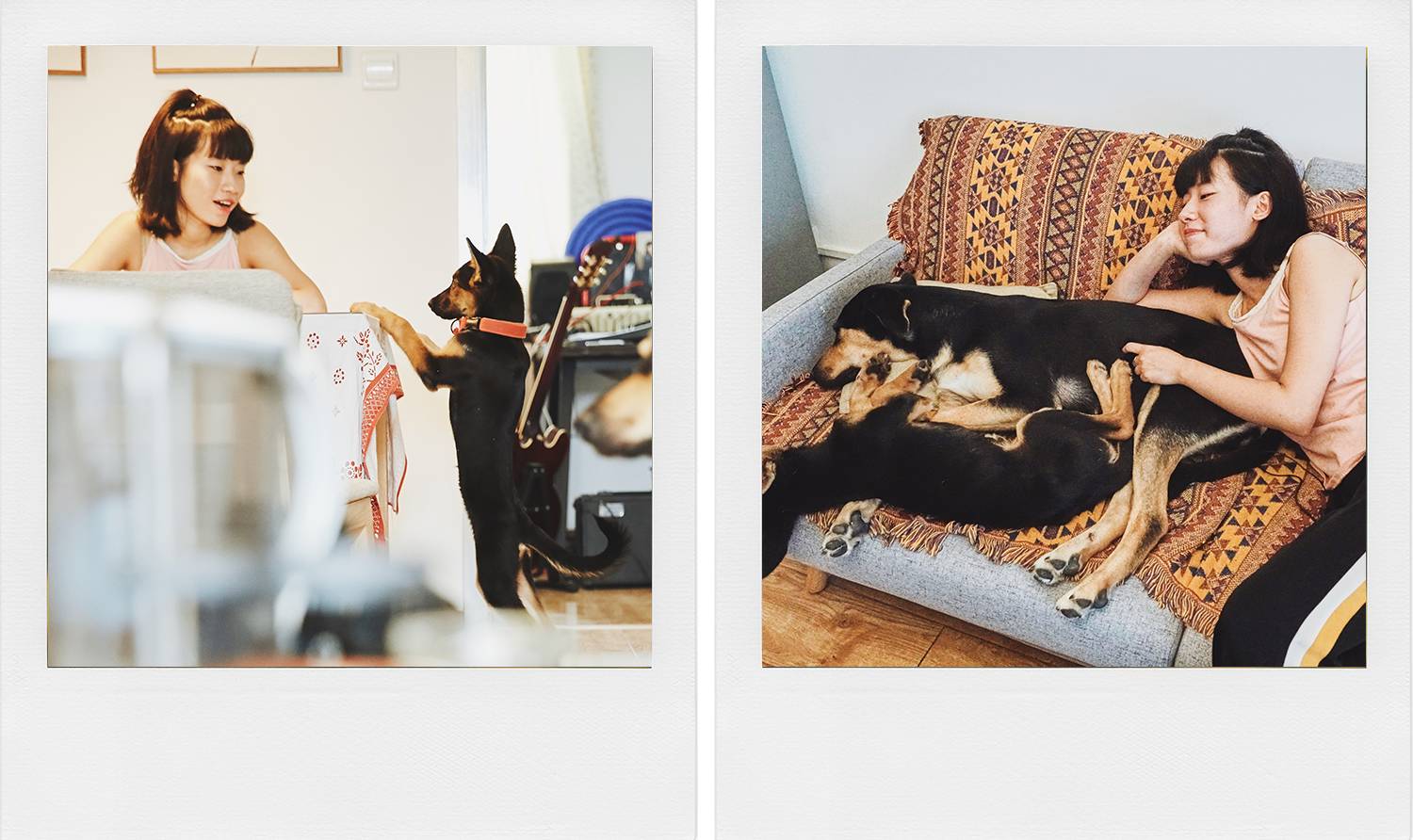 “列车运行前方：龙车站”我和TA打开了意外之门