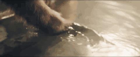 云南最神秘的六个野温泉，峡谷弥漫雾气小鱼咬脚，车底盘常常被刮