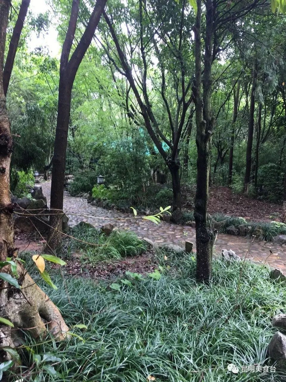 云南最神秘的六个野温泉，峡谷弥漫雾气小鱼咬脚，车底盘常常被刮