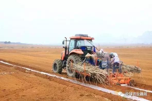 各种农机大盘点（2），你认识几种？