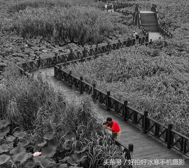 用手机拍出大片感,用手机就能拍出电影大片的感觉