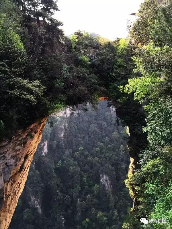 一个没有自己思维模式的人,一个没有思维的人怎么说都没用