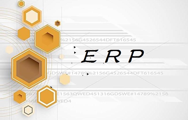 erp基础知识教程视频,erp基础理论与应用