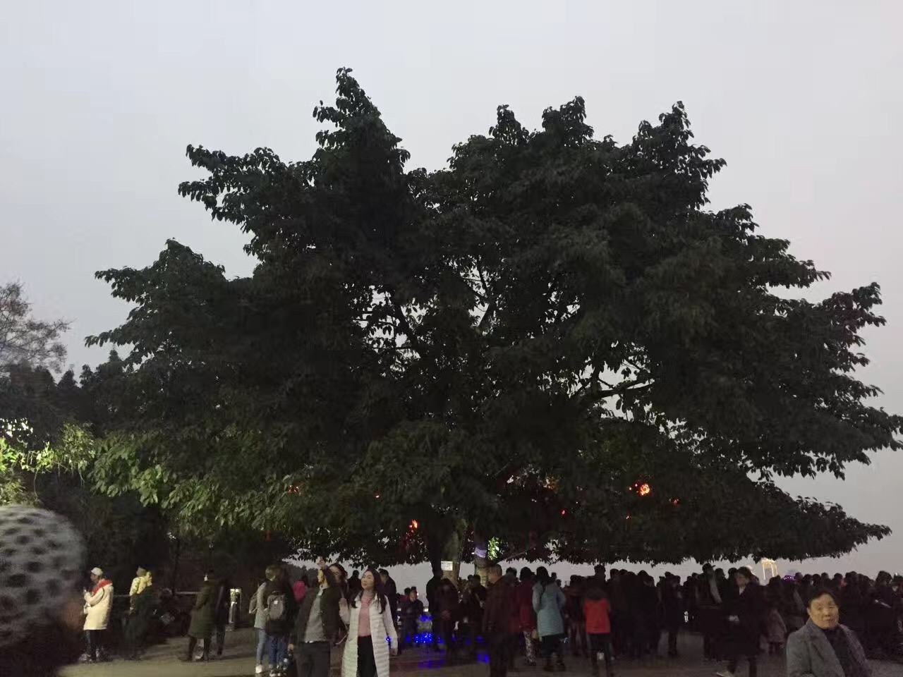 山城重庆游记,吃货重庆游