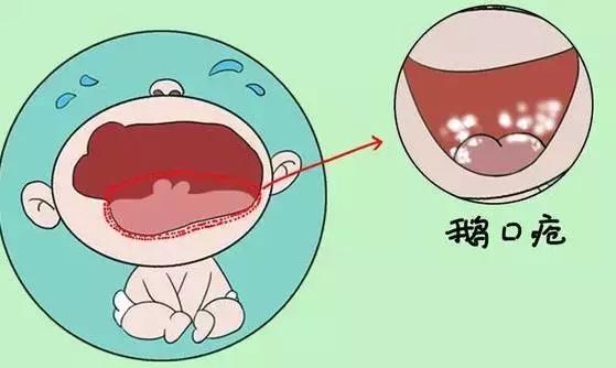 拿什么拯救你我的兄弟小品郑恺,拿什么拯救你我的爱人2