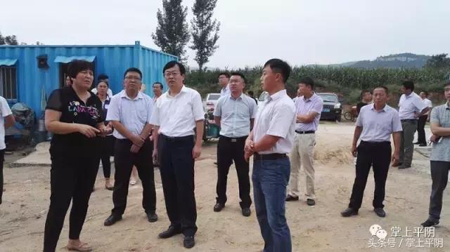 平阴新闻｜群众选房搬新居；首届林果采摘节；心理协会公益讲座