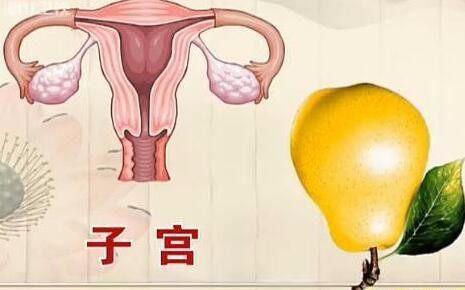 小柠老师分享-看看这些影响子宫健康的因素吧！