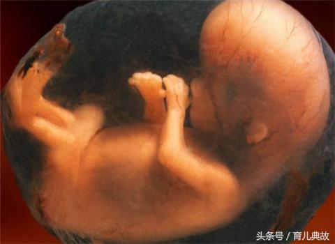 怀孕六个月了总想哭,孕6月总是想哭