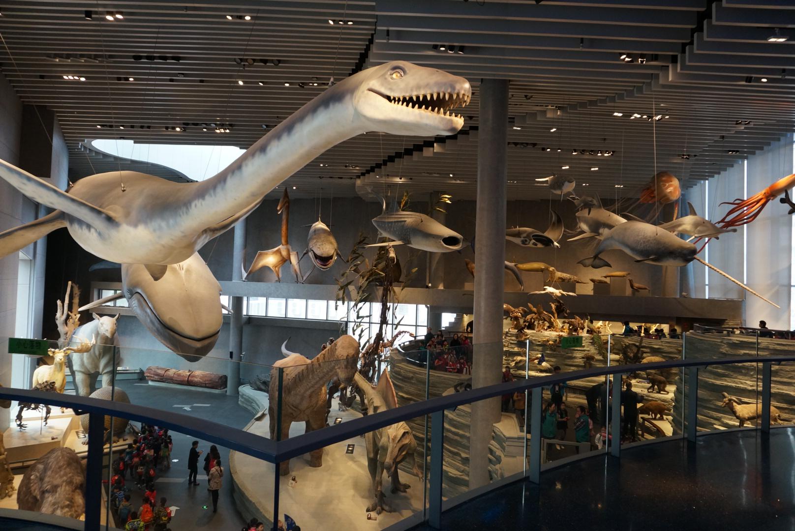 泰国甲米酒店旅游攻略,泰国甲米旅游详细攻略