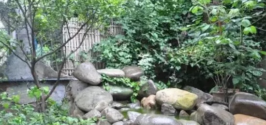 不养龟怎么知道养龟人的乐趣,你没养过狗永远不知道养狗的快乐