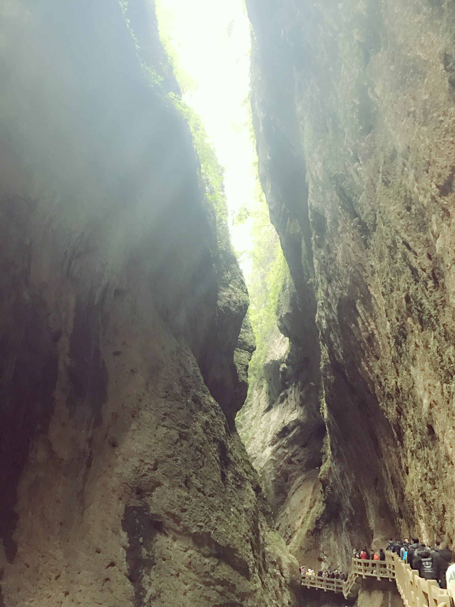 山城重庆游记,吃货重庆游