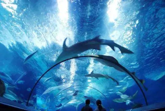 上海地铁直达花海,上海地铁9号线景点