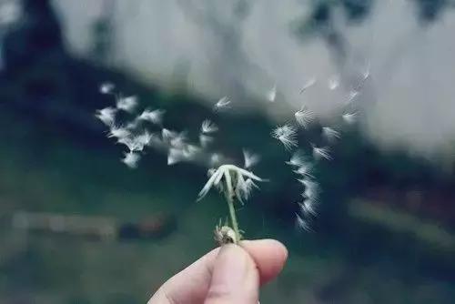 妈妈抗癌的路上辛苦了,妈妈别怕