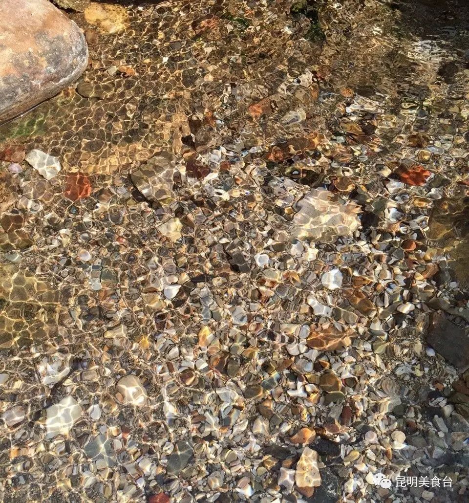 云南最神秘的六个野温泉，峡谷弥漫雾气小鱼咬脚，车底盘常常被刮