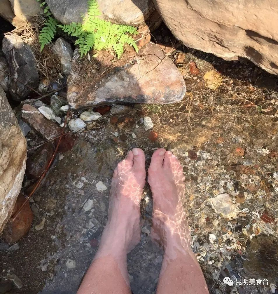 云南最神秘的六个野温泉，峡谷弥漫雾气小鱼咬脚，车底盘常常被刮